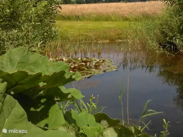 het Assenhoekje | Pays-Bas, Overijssel, Den Ham - maison de vacances