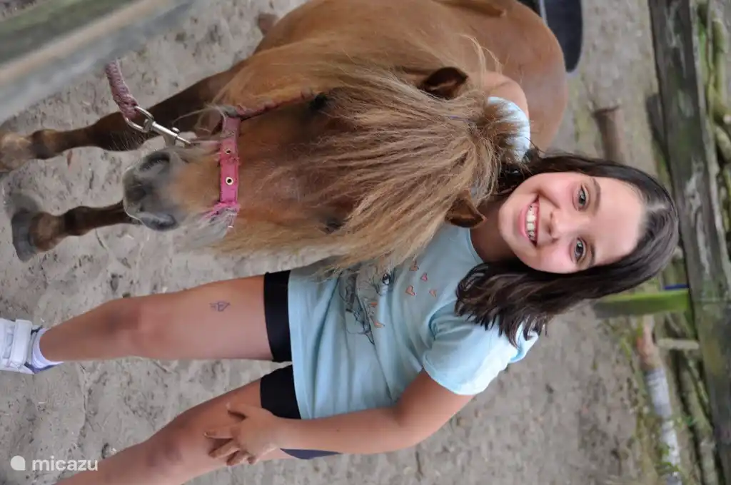 Kuschelpony Moesje (Minouche)