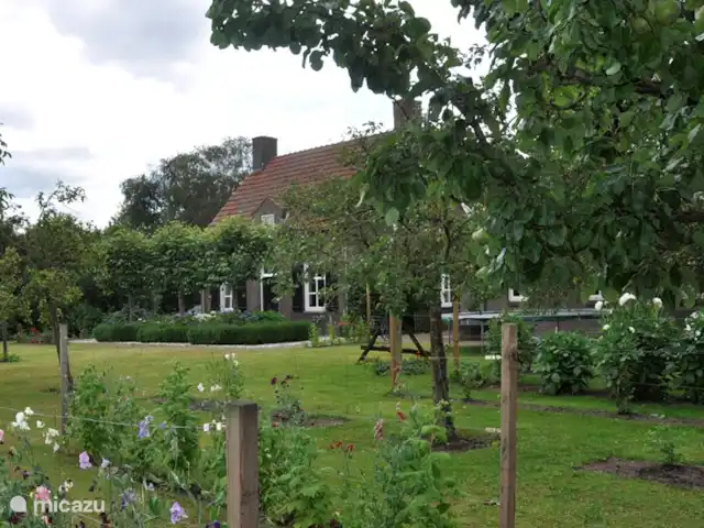 Maison d'hôtes The Front House | Pays-Bas, Brabant-Septentrional, Herpen - maison de vacances Le jardin et la maison de devant