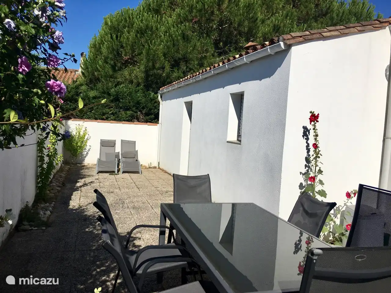 Terrace with sunbeds