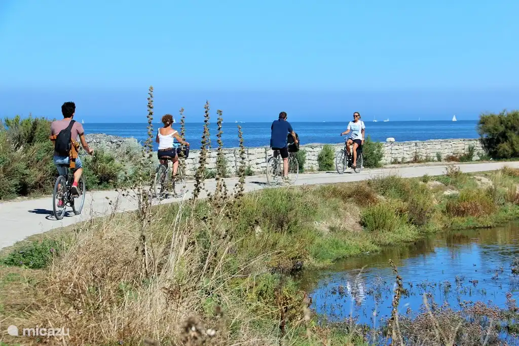 There are many beautiful bike paths on the island.
