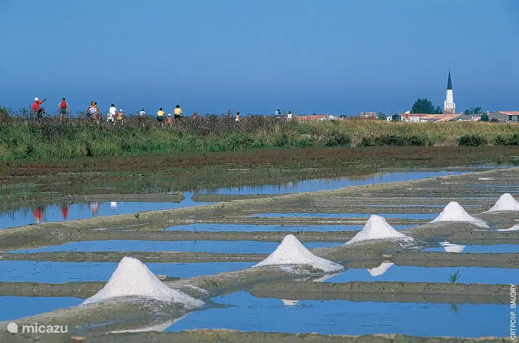 Salt fields Ars en Ré
