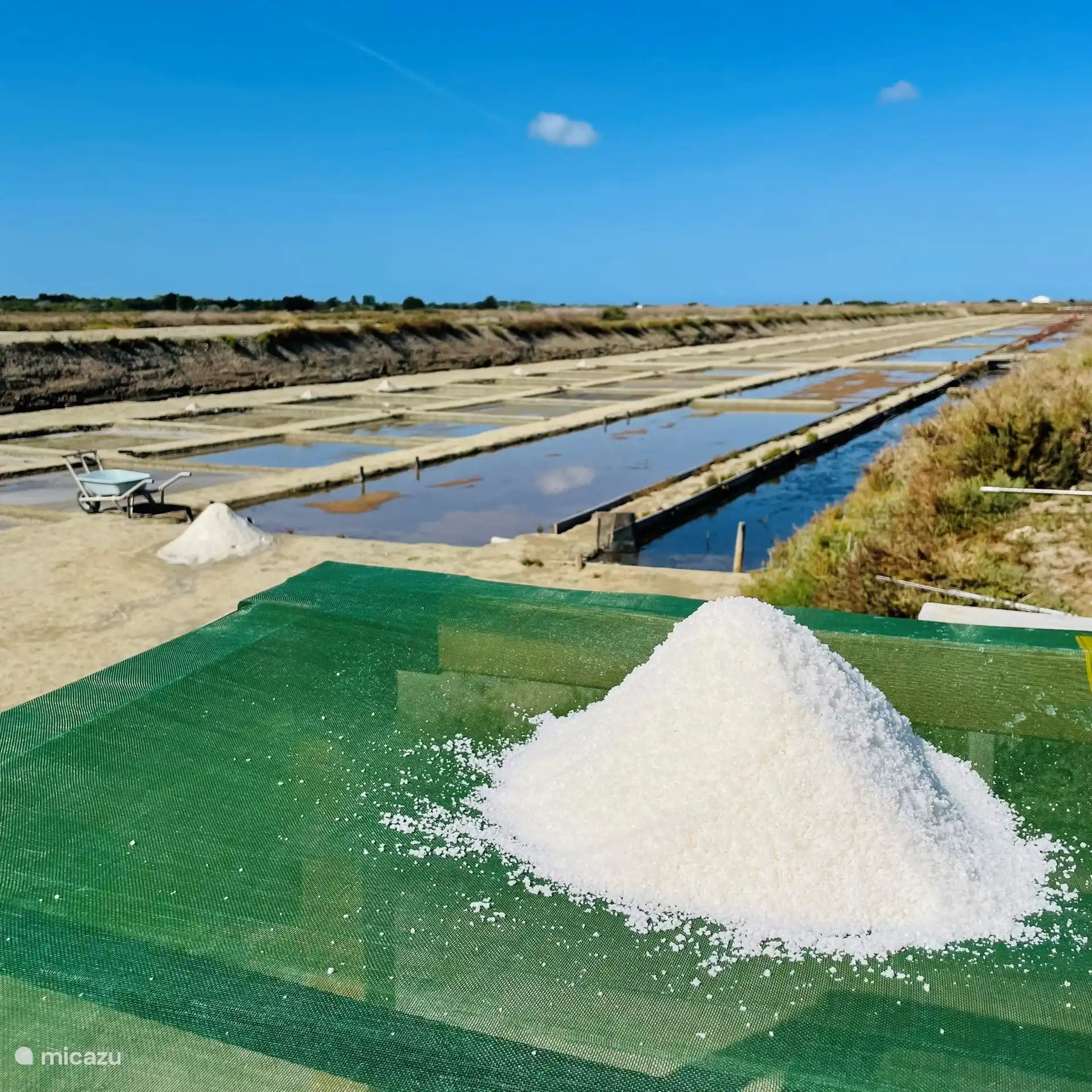 Salt fields