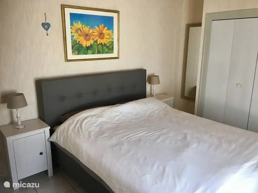 Master bedroom with queen size box spring, large wardrobe and patio door.