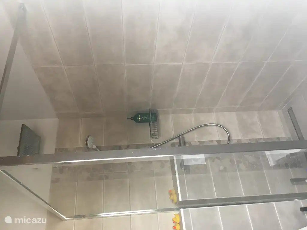 Walk-in shower with rain shower