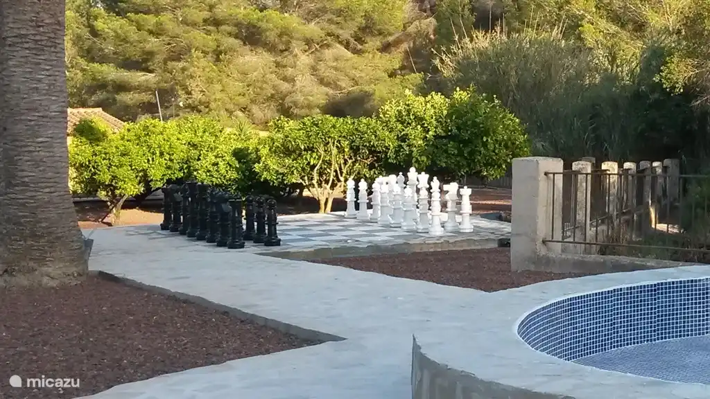 ¿Demasiado calor para hacer ejercicio? El ajedrez debería seguir siendo posible, ¿verdad?