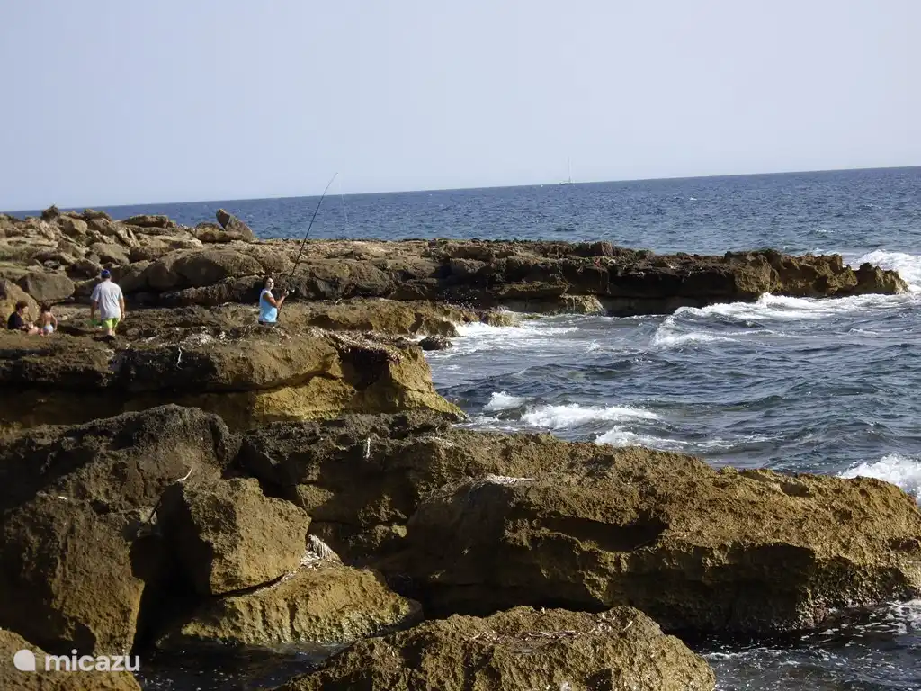 Köstliches für die Fischerei