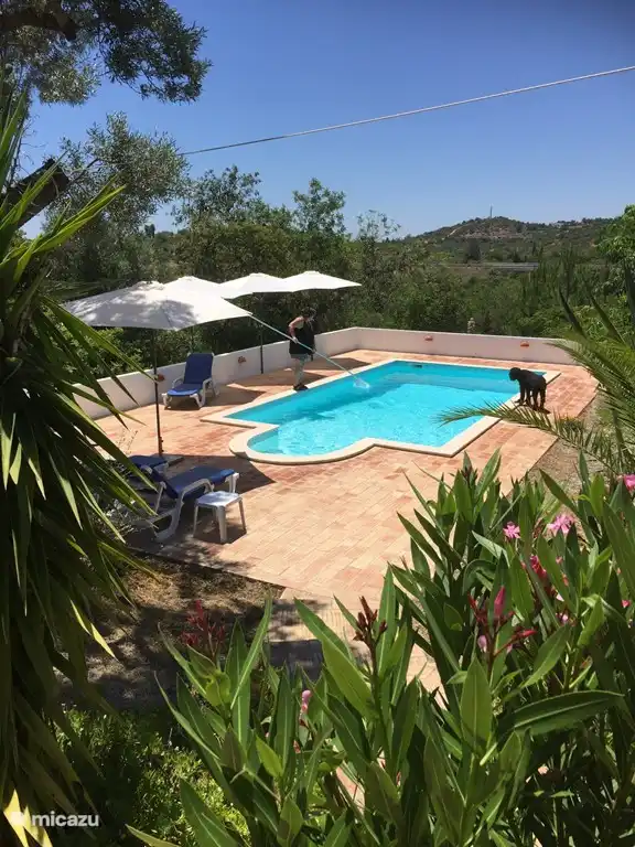Piscine avec transats.