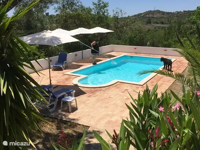 Casa Palmeira, Casa Geco | Portugal, Algarve, Moncarapacho - finca Piscine avec transats.