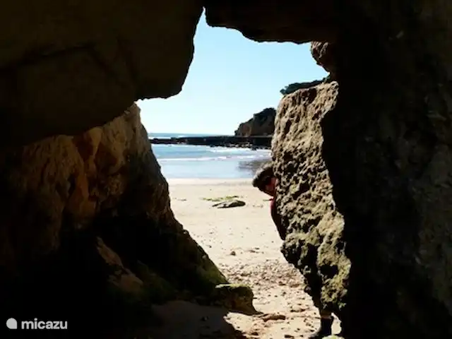 Casa Palmeira, Casa Geco | Portugal, Algarve, Moncarapacho - finca plage