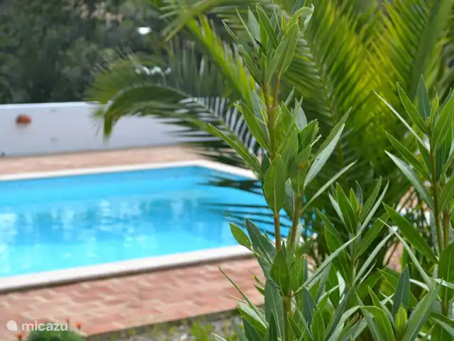 Casa Palmeira, Casa Geco | Portugal, Algarve, Moncarapacho - finca vue sur la piscine