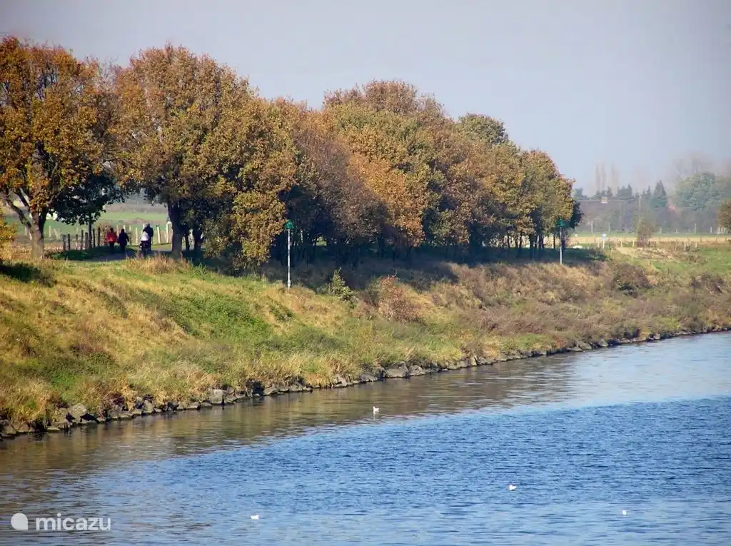 fietsen langs de Maas