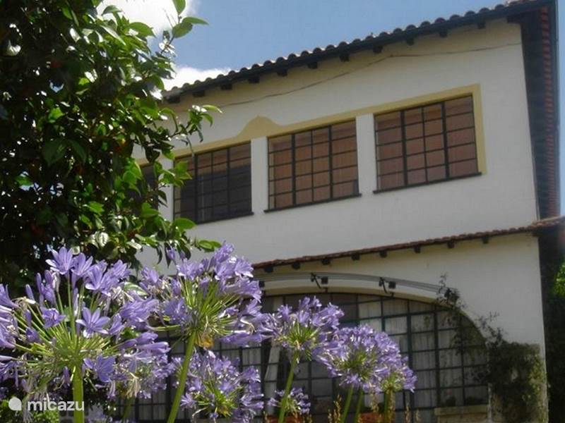 Ferienwohnung Portugal, Beiras, Vila Nova De Oliveirinha Ferienhaus Casa das Rosas (Casinha Bela Vista)