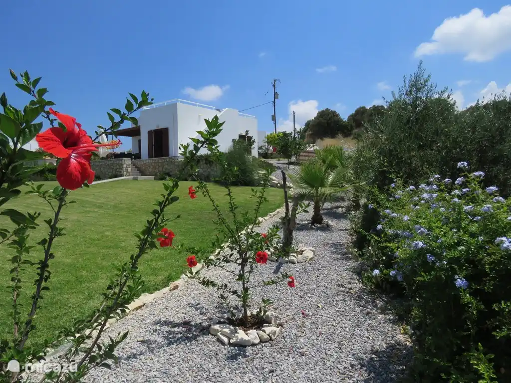 Mooi onderhouden tuin