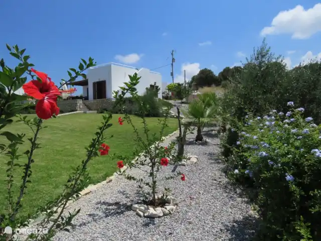 Villa Euphorie | Grèce, Crète, Kyrianna - villa Jardin bien entretenu