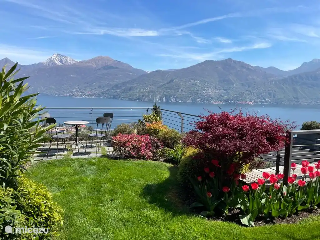 vista desde el jardin