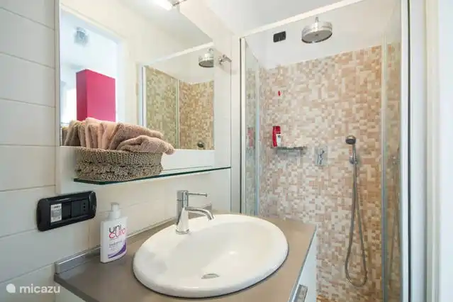 baño de invitados con inodoro, lavabo y ducha