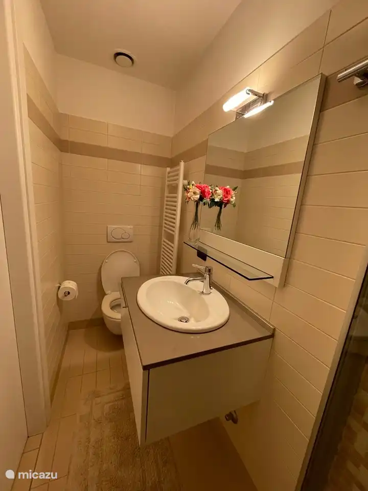 baño de invitados con inodoro, lavabo y ducha