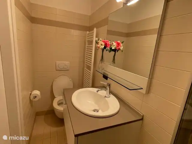 Appartement de luxe San Andrea Menaggio | Italie, Lac de Côme, Menaggio - appartement salle de bain invités avec WC, lavabo et douche