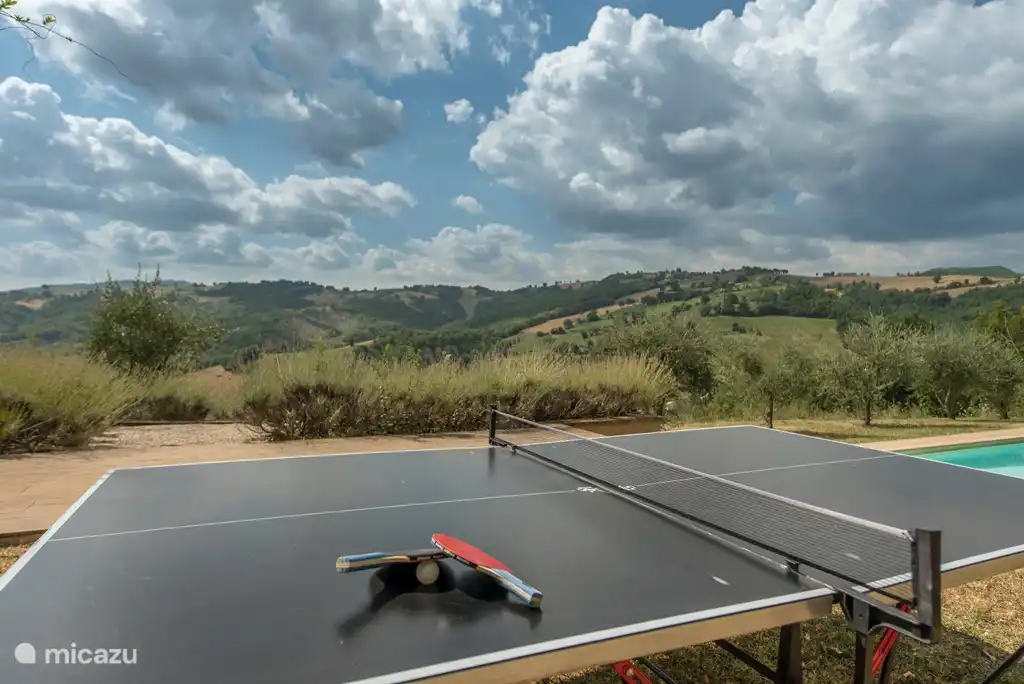 Es gibt eine Tischtennisplatte