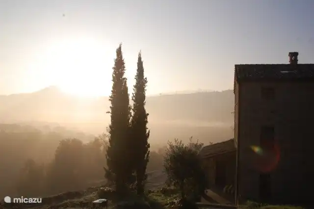 Zypressen an der Vorderseite des Hauses an einem Morgen im Oktober