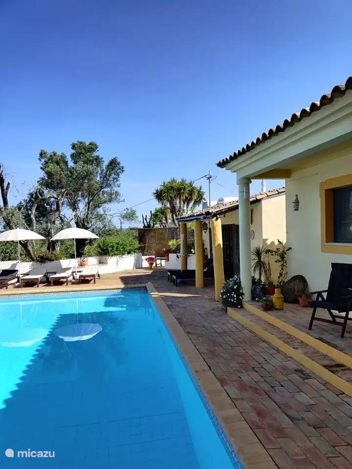 part of the large pool terrace with side view Casa