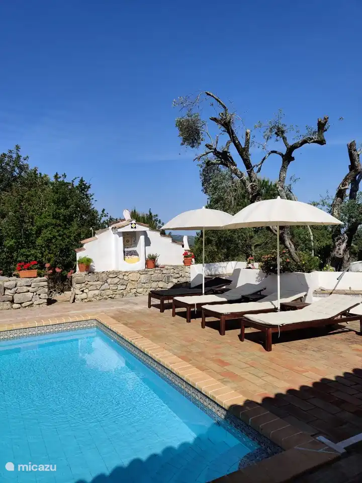 Sunbeds at the large pool terrace