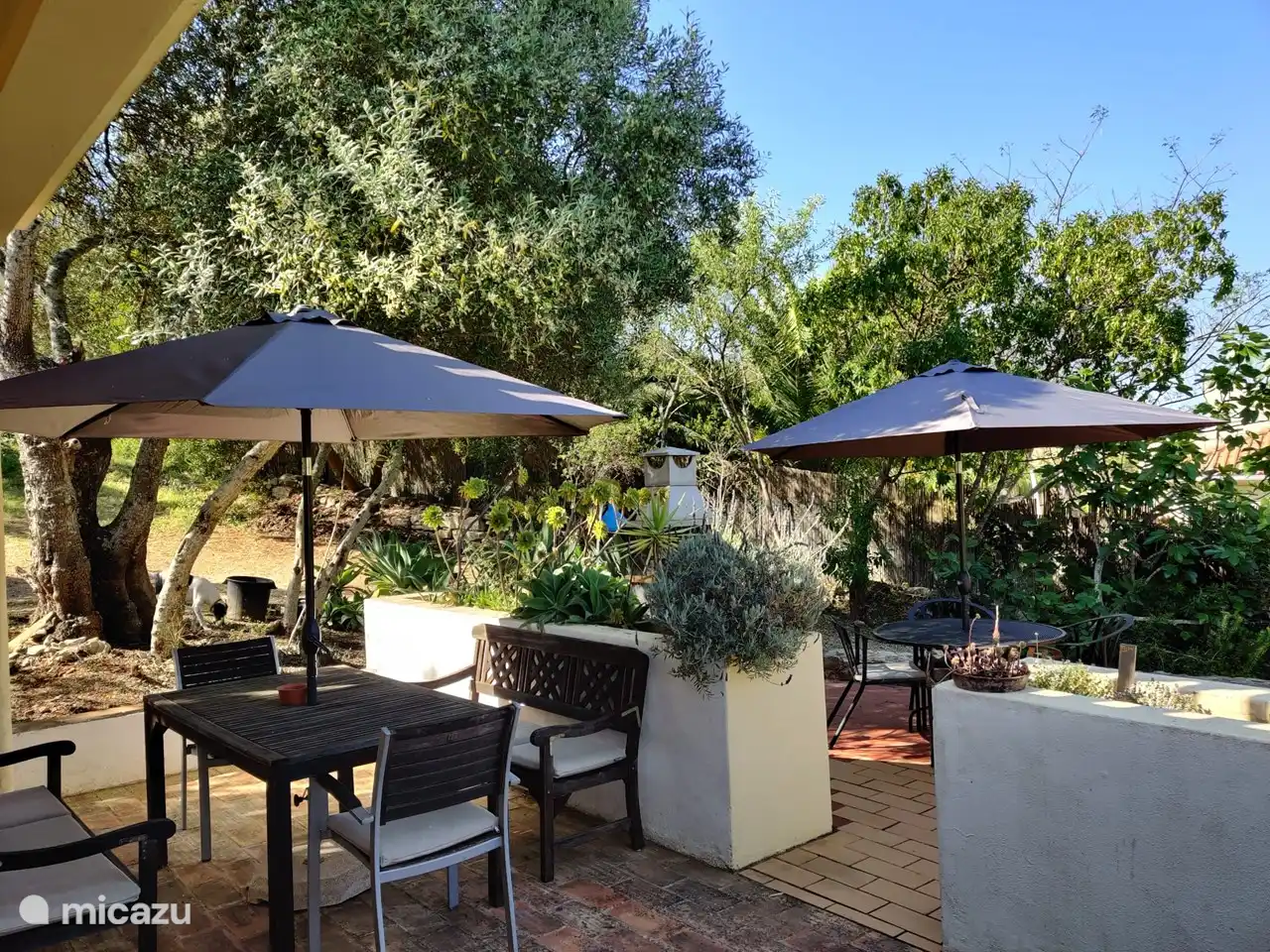 Outdoor terraces at the Casa