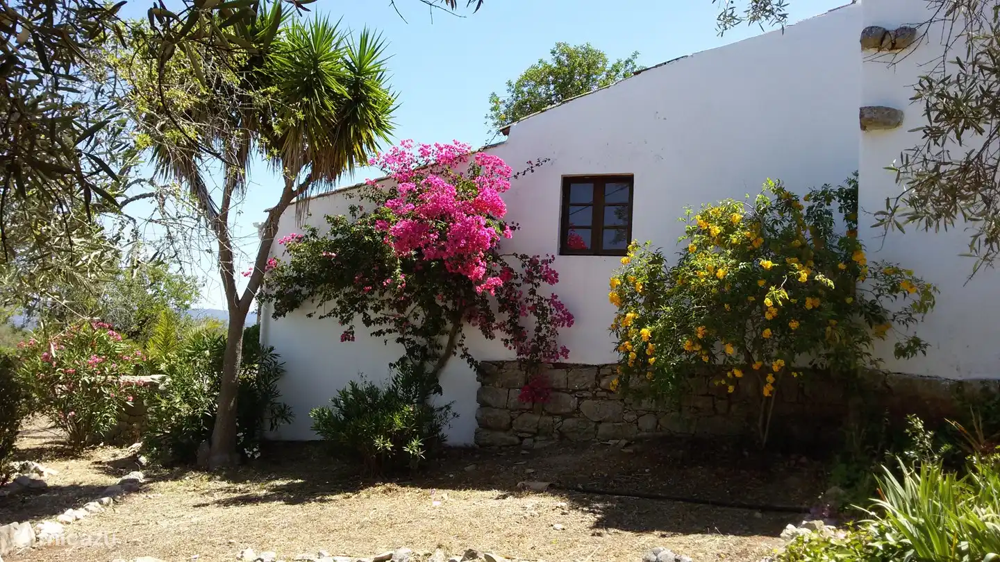 Side view of the old quinta