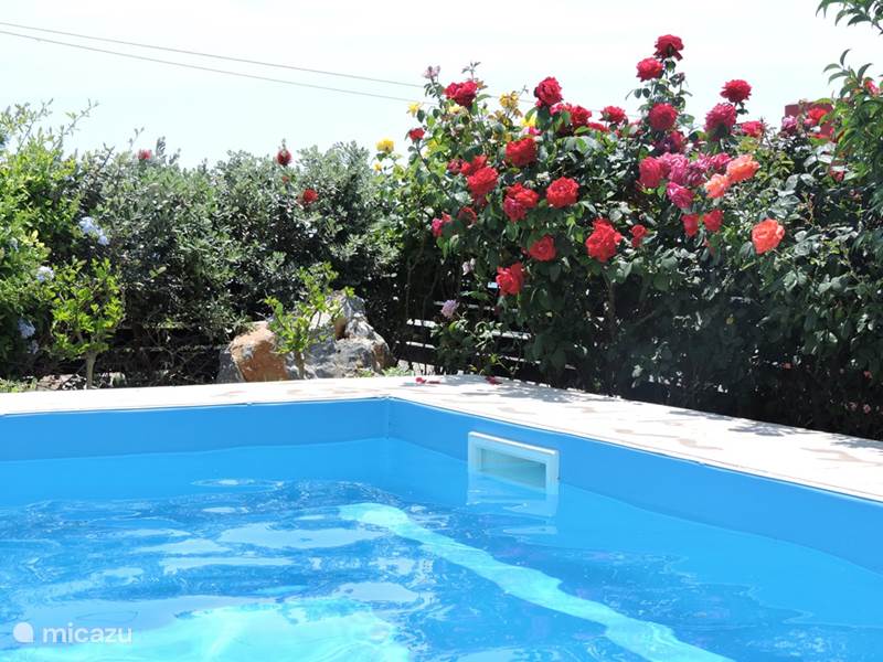 Holiday home in Greece, Rhodes, Gennadi Villa Villa Dolphin