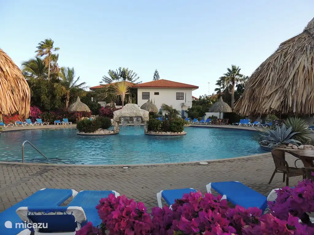 Una de las piscinas más hermosas y más grandes (25 m) de Curazao. Piscina infantil separada. Con palapas y muchas tumbonas y sillas de playa.