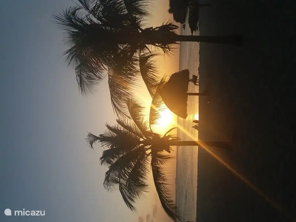 Schöner Sonnenuntergang