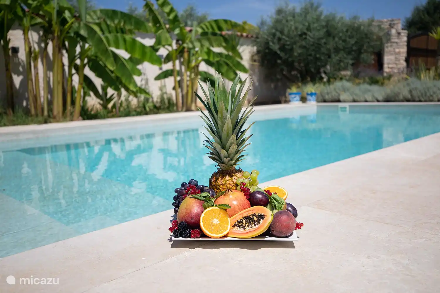 Disfrute de fruta fresca junto a la piscina.