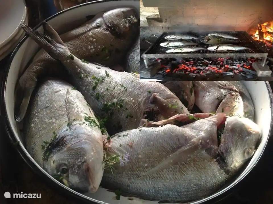 Pescado autocapturado en Medulin. ¡Grande para la gente que ama la pesca!