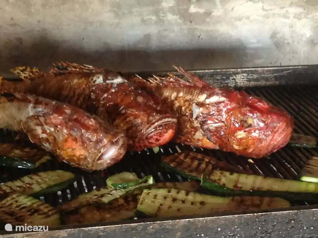 Hay una gran pescadería a cinco minutos de la villa, donde puedes conseguir tu pescado fresco todos los días. También puede obtener pescado junto al mar de los pescadores locales.