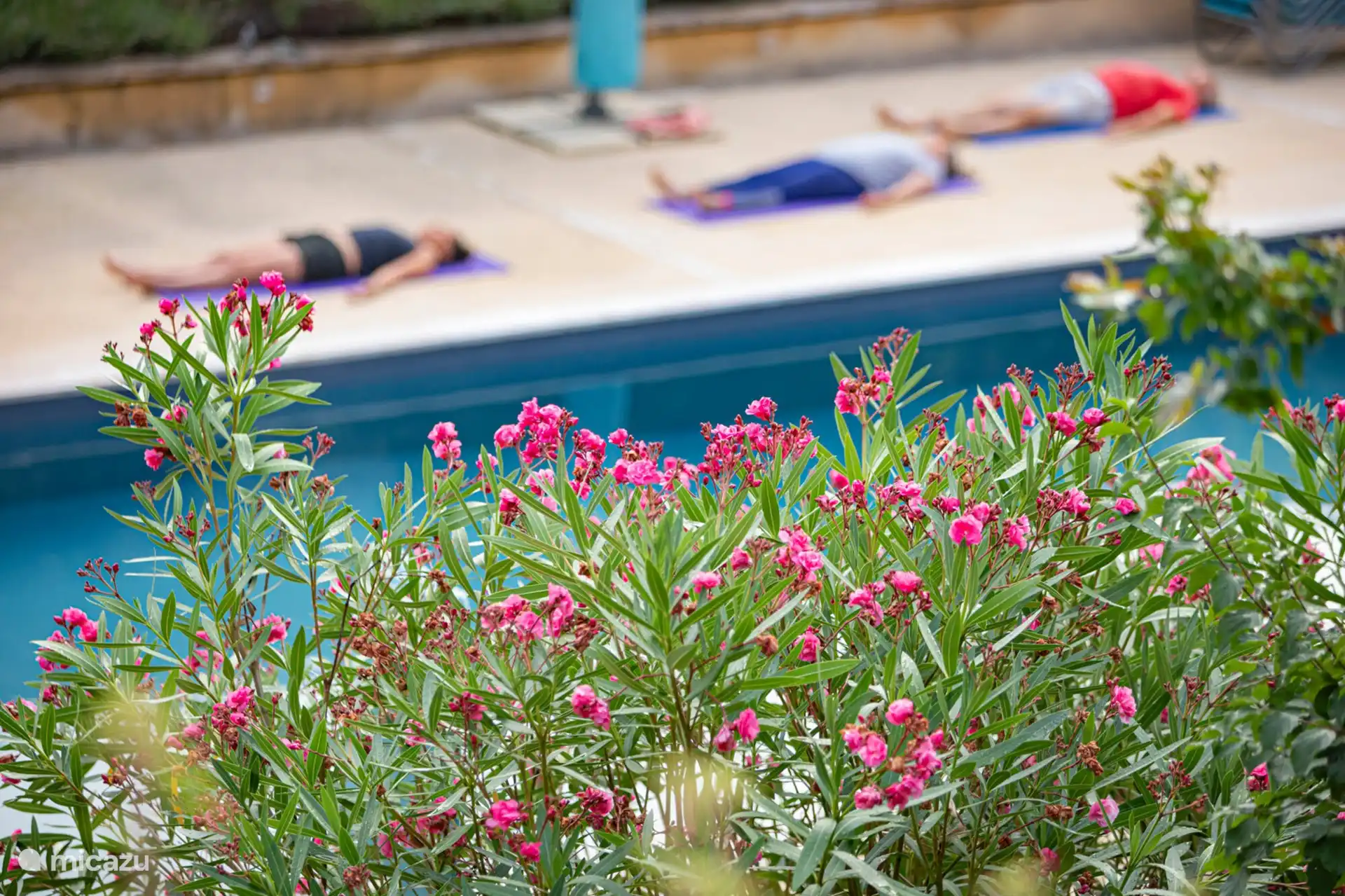 Zweimal in der Woche gibt es in der Hochsaison morgens Tchai-Chi-Yoga-Kurse am Pool