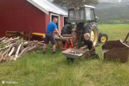 Vakantiehuis Noorwegen, Oppland, Lora vakantiehuis Gårdsros Brandhout verwerken