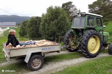 Vakantiehuis Noorwegen, Oppland, Lora vakantiehuis Gårdsros Helpen
