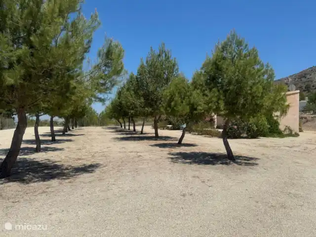 bungalow huren in Spanje, Costa Blanca, La Romana – Las Casitas La Ladera Casita 2 Het terrein