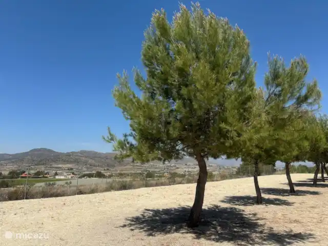 bungalow huren in Spanje, Costa Blanca, La Romana – Las Casitas La Ladera Casita 2 Het uitzicht