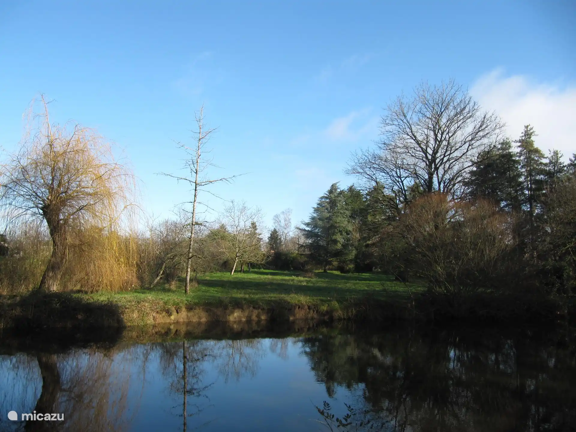 the pond where you can cool off next to the water.
