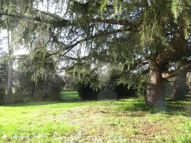 Location de Vacances France, Cher, Vesdun, maison de vacances - Gîte Jardin de Jauny Le jardin où vous pouvez trouver de l’ombre sous de grands arbres pour les journées chaudes.