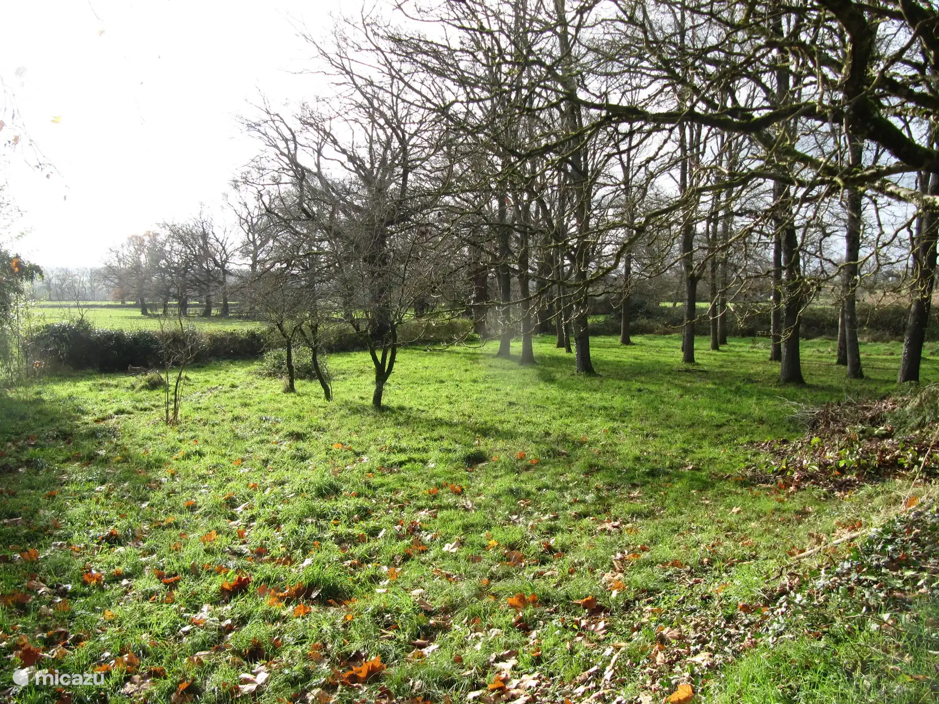 view at the back of the garden over the rolling meadows