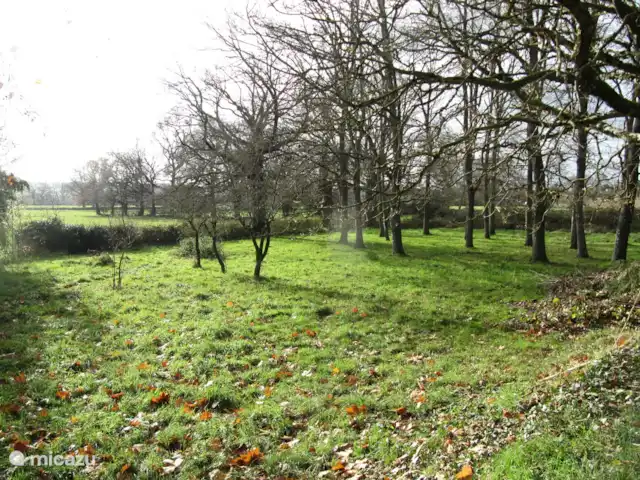 Location de Vacances France, Cher, Vesdun, maison de vacances - Gîte Jardin de Jauny Vue au fond du jardin sur les prairies vallonnées