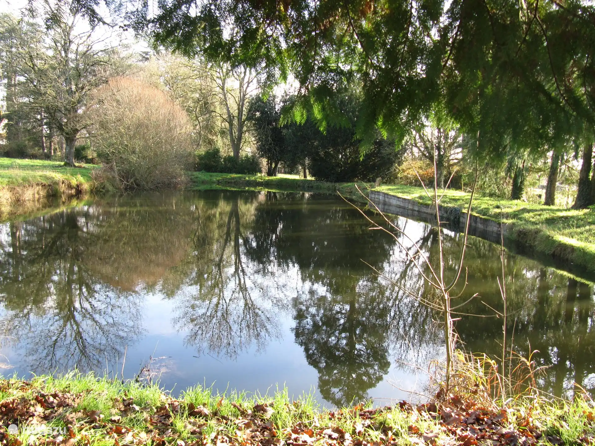 the garden with the fish pond at the end