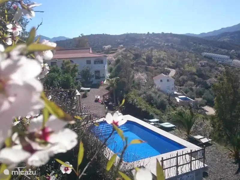 Nido Aguila Blanca | Espagne, Andalousie, Guaro - Appartement Nido Aguila Blanca | Espagne, Andalousie, Guaro - Appartement