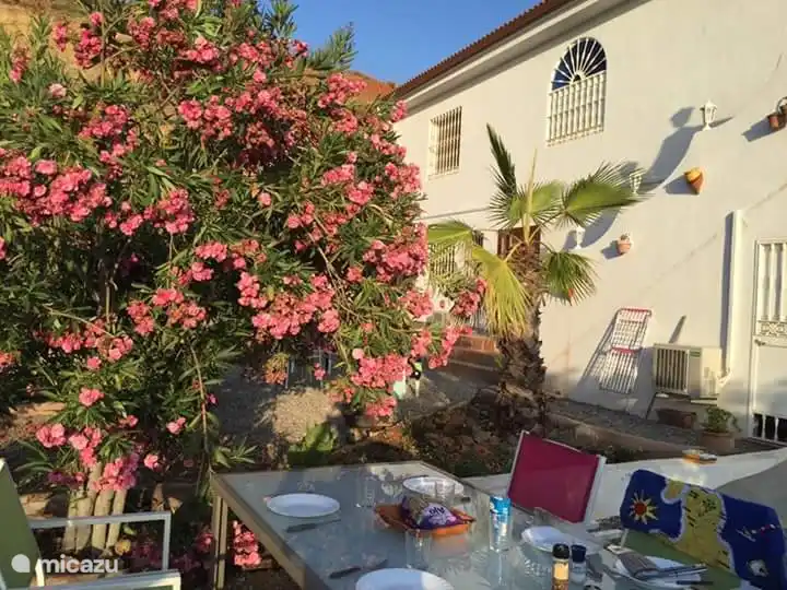 Leckeres Essen auf der eigenen Terrasse.