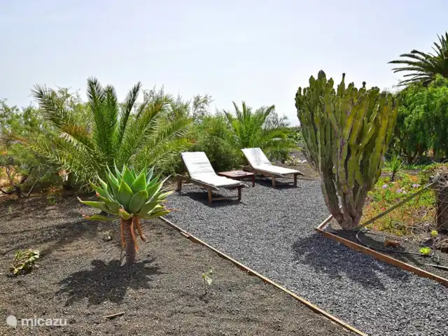 vakantiehuis huren in Spanje, Lanzarote, Tabayesco – El Chafariz Beschut zonnen in de tuin