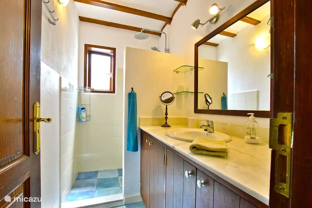 Badkamer met douche en wastafel, 
toilet apart