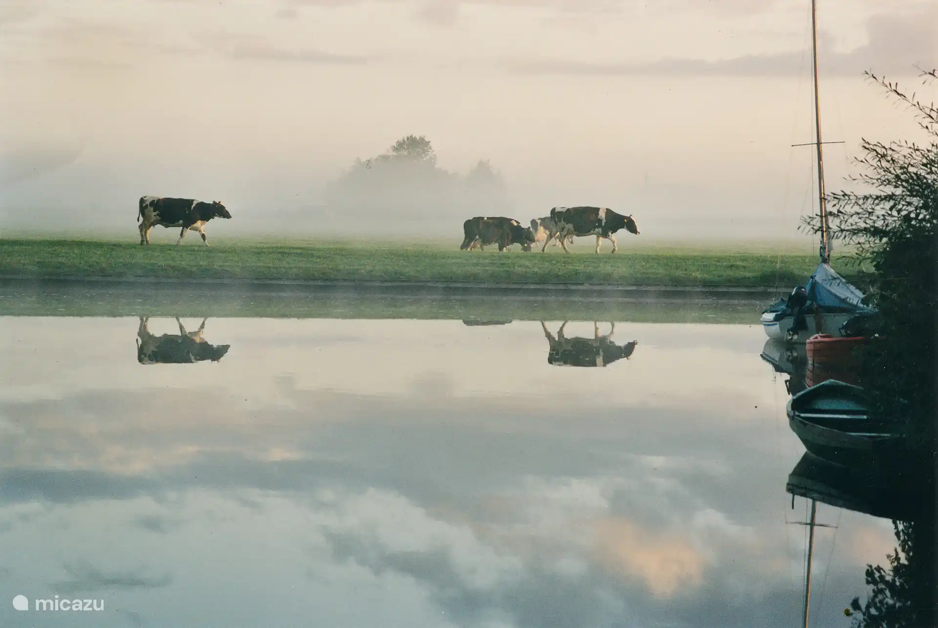 Met een beetje geluk laat de boer zijn koeien lopen in het weiland achter het haventje